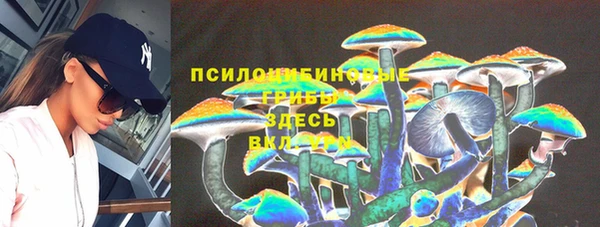 дурь Алзамай