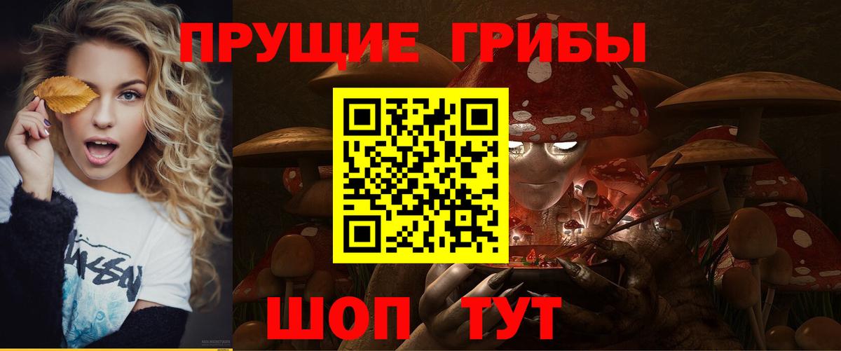Псилоцибиновые грибы Psilocybe  закладка  Вход с VPN  Благодарный  Галлюциногенные грибы прущие грибы 