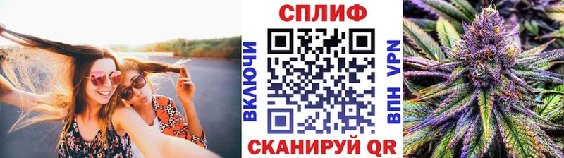 где купить   Благодарный  МАРИХУАНА тримм 